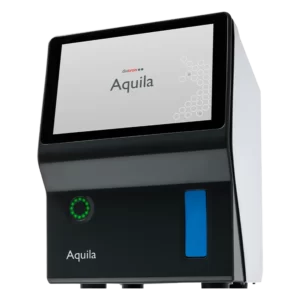 Aquila