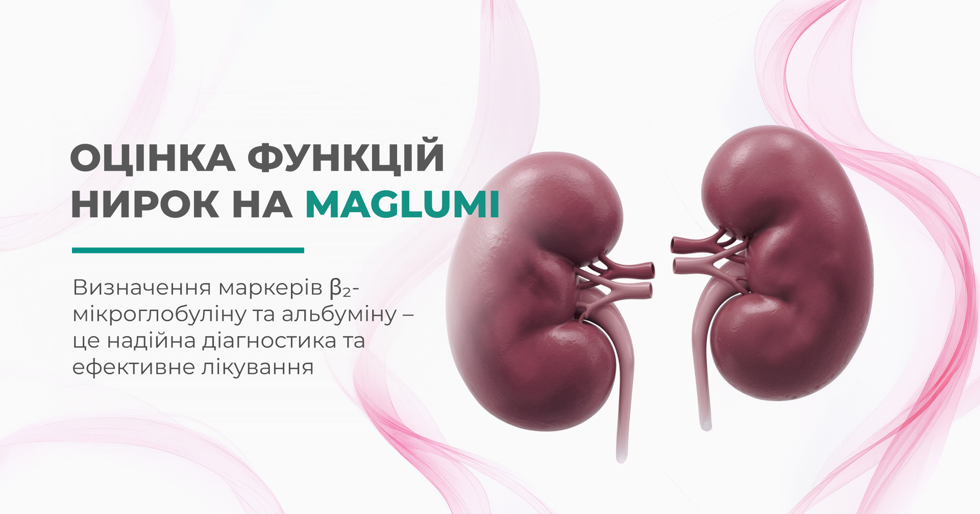 3D-ілюстрація нирок людини з написом про оцінку функцій нирок на MAGLUMI та визначення біомаркерів